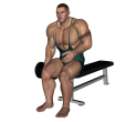 Anterior Raise - Seated Single Dumbbell Forward